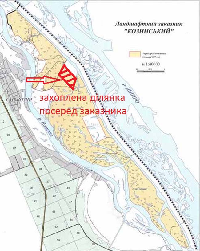 Фото автора kozinka2